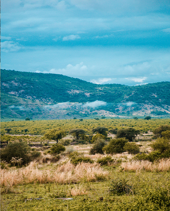 Landscape view of southern tanzania
