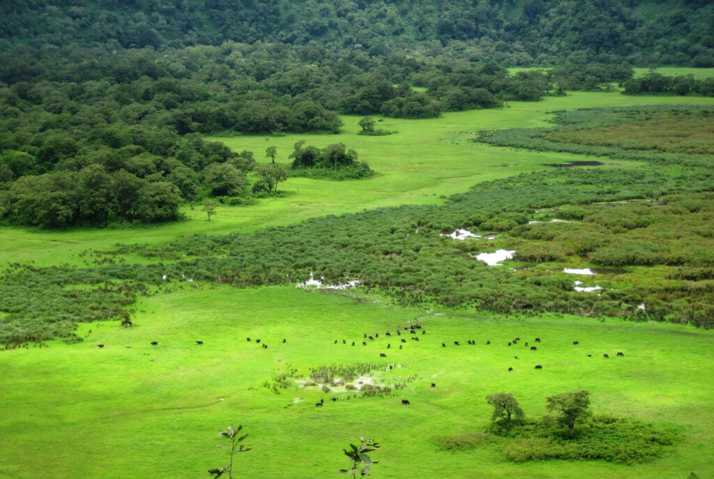 arusha-national-park-destinations-tanzania-maasai-wanderings-africa-landscape