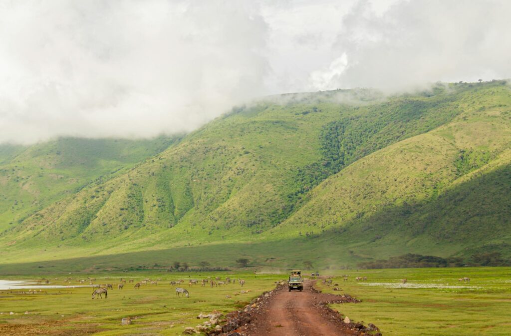 Ngorongoro crater