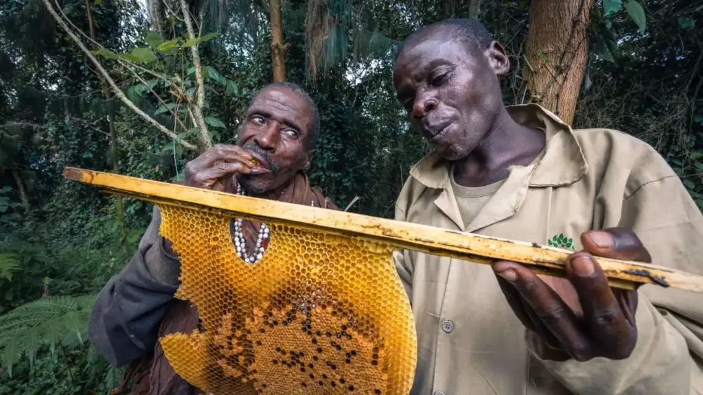 batwa-men-making-honey-bwindi-uganda-2048x1152.jpg