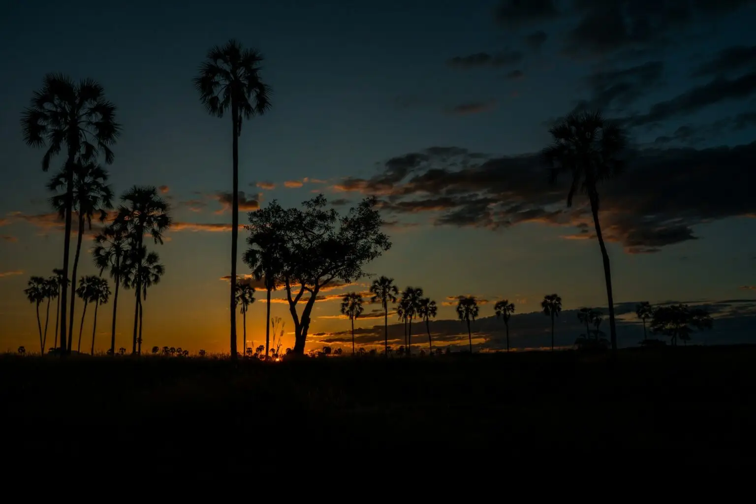 Nyerere National Park