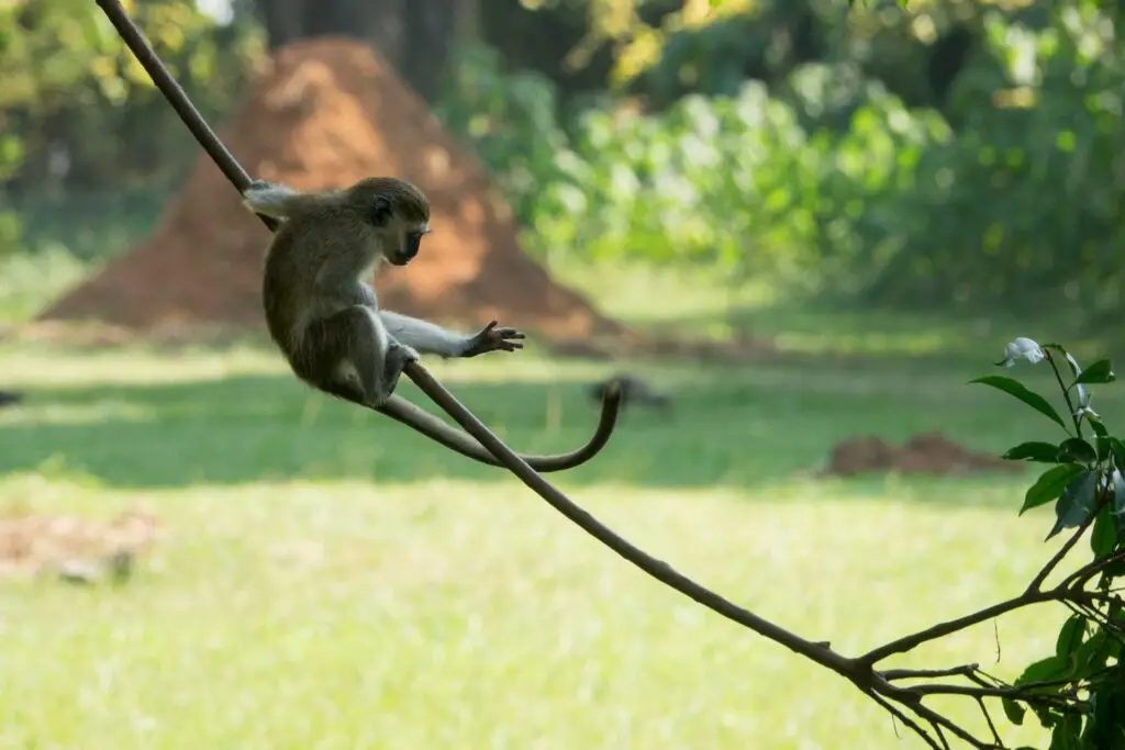 wietse-jongsma-vhNmkGcehzM-unsplash