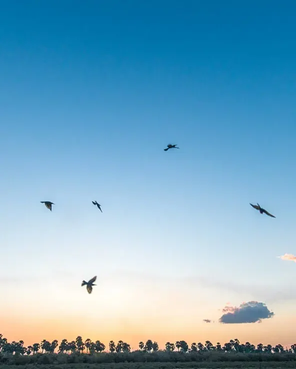 asali travel - samburu