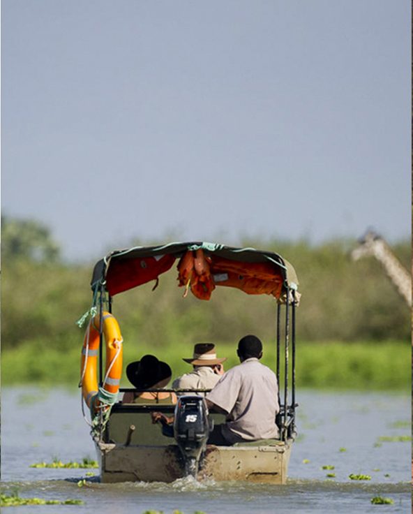 Asilia_Camp-Lodges_Roho_Guest-Reviews