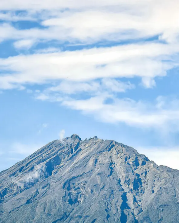 Screenshot 2026-02-16 at 20-56-11 African Safari Destinations Asilia Africa