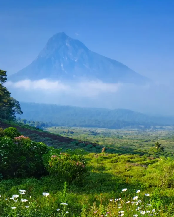 mgahinga-gorilla-national-park3
