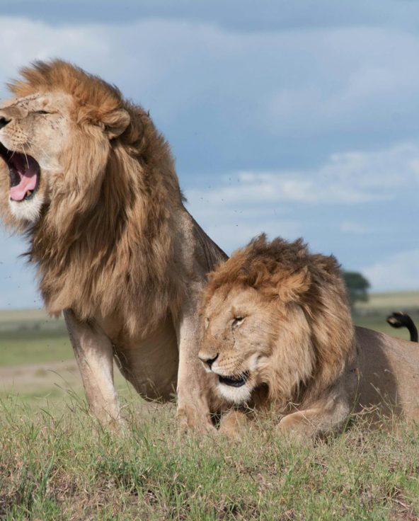 pexels-iurii-ivashchenko-1886156-3498323